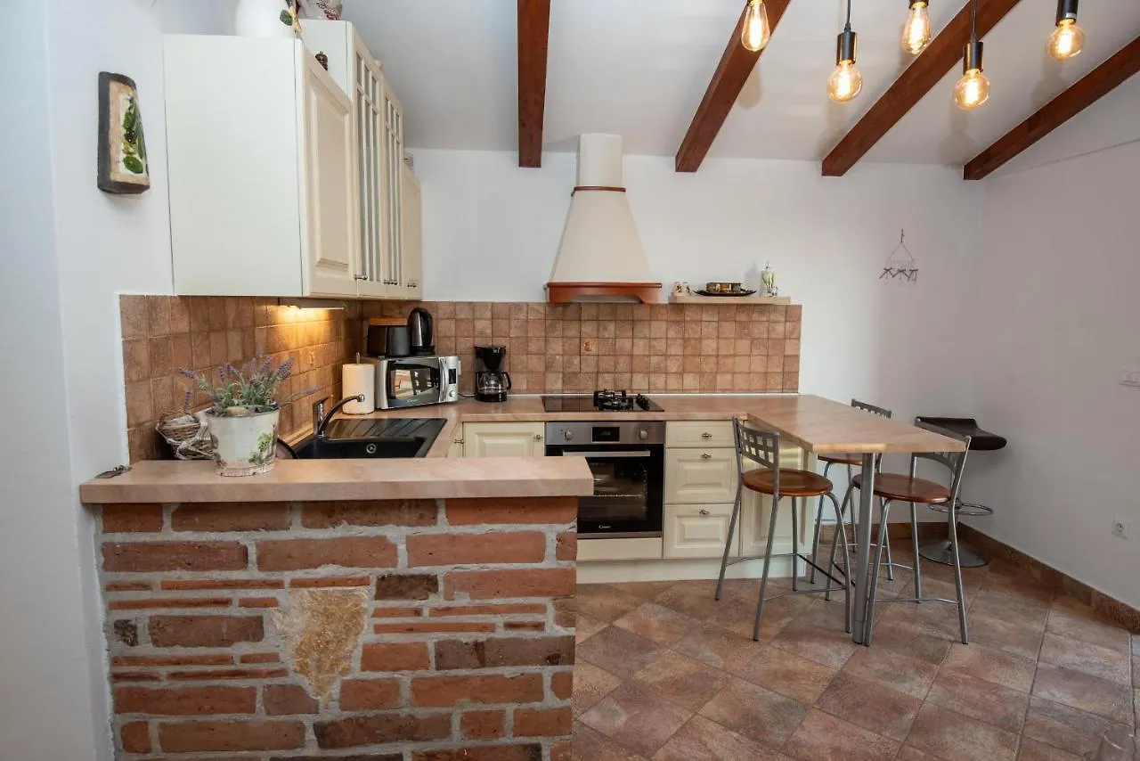 Stellar House Visnjan Villa